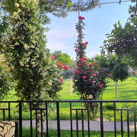 Room With Private Garden Shkodër Extérieur photo