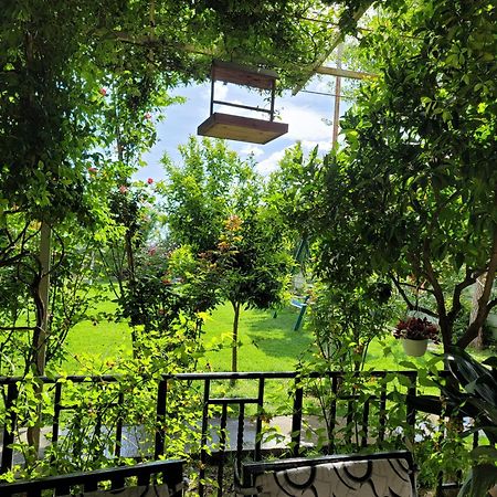Room With Private Garden Shkodër Extérieur photo