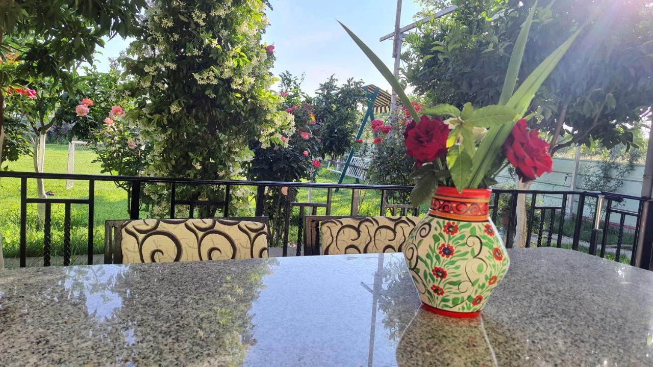 Room With Private Garden Shkodër Extérieur photo