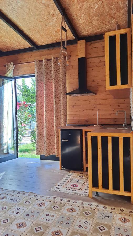 Room With Private Garden Shkodër Extérieur photo