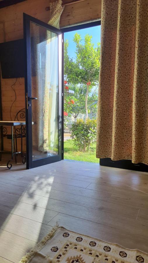 Room With Private Garden Shkodër Extérieur photo